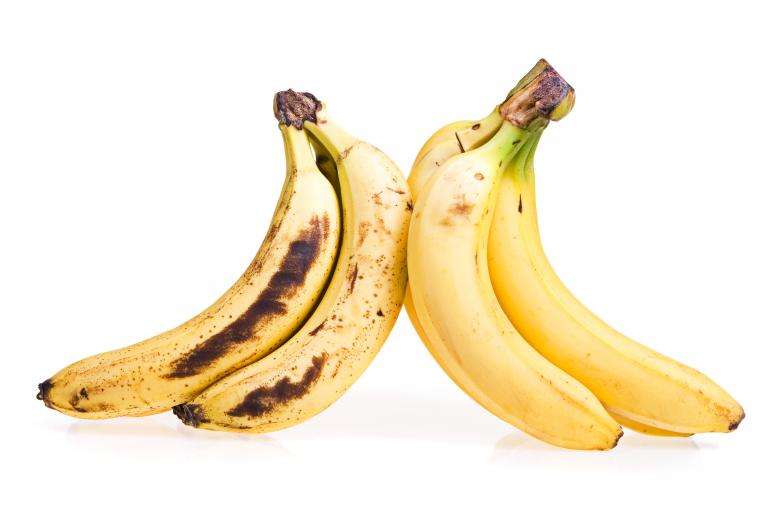 Discover the Surprising Benefits and Risks of Feeding Bananas to Your Dog